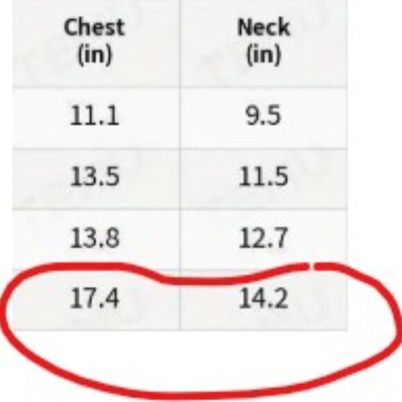 "Sweetheart" Dog Hoodie - Cozy Pet Sweatshirt with Heart & FloraL Design Size S - Picture 8 of 10